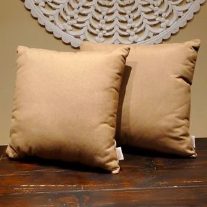 2 Tan Sunbrella Outdoor Pillows